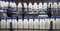 Экономист: голод и дефицит продуктов населению Беларуси не грозят