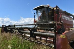 В РАЙОНЕ СТАРТОВАЛА УБОРОЧНАЯ
