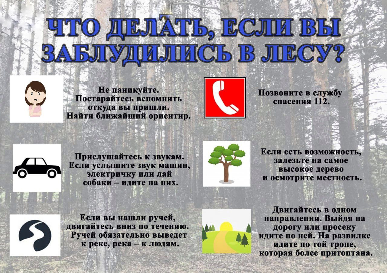 В ЛЕС ПОПАСТЬ - НЕ ПРОПАСТЬ!