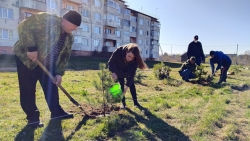 Сделать Лиозно зеленее