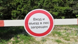В Витебской области вводится запрет на посещение лесов с 23 августа