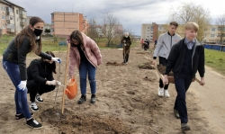 В Лиозно появилась молодёжная аллея