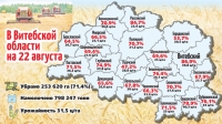 В Витебской области убрано более 71% площадей зерновых