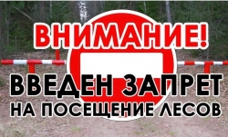 В Лиозненском районе с 15.05.2023 введён ЗАПРЕТ НА ПОСЕЩЕНИЕ ЛЕСОВ