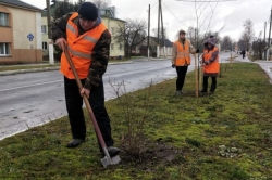 Курс на озеленение. В Лиозно в текущем году было высажено 1257 единиц зелёных насаждений