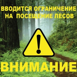 На территории Лиозненского района с 03 мая 2023 года вводится ограничение на посещение лесов