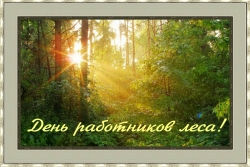 19 сентября – день работников леса