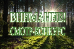 Сделаем лес чище за 50 дней!