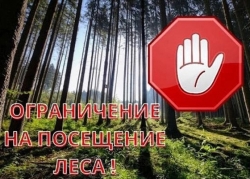 Внимание! Введено ограничение на посещение леса!