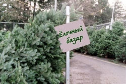 В Лиозно ёлочные базары заработают с 22 декабря